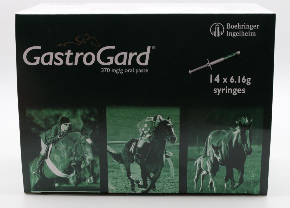 GastroGard 37 Oral Paste For Horses GastroGard Syringe VioVet