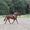Amelia Rimmer's Irish Sport Horse - Ruby