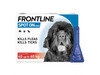 Photo of: FRONTLINE Spot On Flea & Tick Treatment Dogs & Cats » Dog Extra Large (40-60kg) » 3 Pack