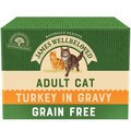 James Wellbeloved Adult Grain Free Turkey Wet Cat Food