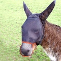 Equilibrium Field Relief Max Donkey Fly Mask Black/Orange