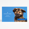 Wisdom Panel Essential Dog DNA Collection Kit