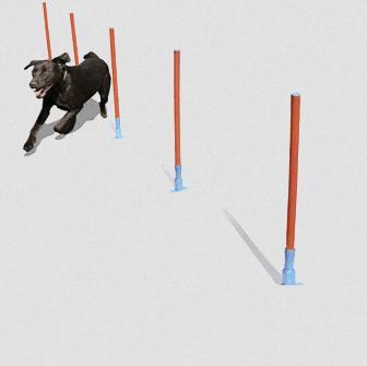 Rosewood Agility Slalom Course for Dogs