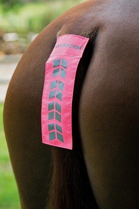 Shires EQUI-FLECTOR Tail Strap Pink