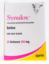 Synulox Bolus 500 mg film-coated tablet