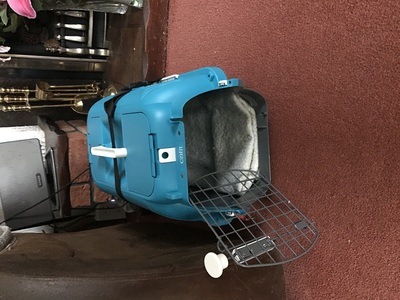 Image for review Kitty carrier