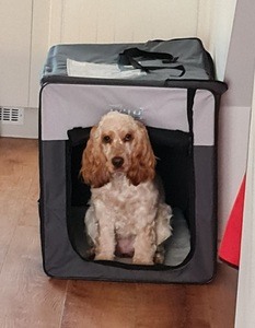 Image for review Brilliant travel crate
