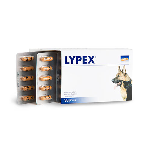 Lypex Capsules | Pancreatic Enzyme Supplement