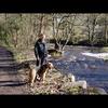 Frank Hargreaves's Airedale Terrier - Ted