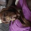 Angharad Derham's Labrador Retriever - Archie
