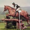 Sarah  Ettridge's Irish Sport Horse - Henry