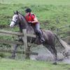 Mel Richards's Irish Sport Horse - Peg