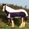 Romaney-Lei Grant's Clydesdale Horse - Bonnie