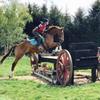 Cara Lawtie's Irish Sport Horse - Herbie