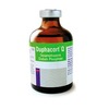 Duphacort Q 0.2% w/v Solution for Injection