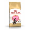Photo of: ROYAL CANIN® Maine Coon Kitten Dry Food » 400g