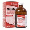 NEFOTEK 100 mg/ml solution for injection for cattle, horses and pigs