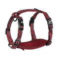 Alcott Products Adventure Harness Red