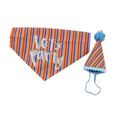 Ancol Pawty Time Hat & Badana Stripes for Dogs
