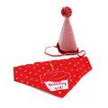 Ancol Pawty Time Pink Party Hat & Bandana Set for Dogs