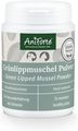 Aniforte Green Lipped Mussel Powder for Dogs & Cats
