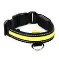Animate LED USB Collar for Dogs Green