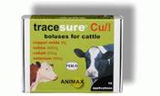 Animax Tracesure CU/I Bolus for Cattle