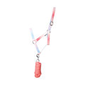 Hy Equestrian Ombre Coral/Blue Head Collar & Lead Rope