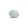 Beeztees Stone Pigeon Eggs