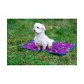Benji & Flo Thelwell Collection Pony Friends Dog Bed Imperial Purple/Pacific Blue