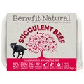 Benyfit Succulent Beef Complete Adult Raw Dog Food