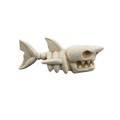 Betta Shark Skeleton for Fish