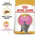 ROYAL CANIN® British Shorthair Kitten Dry Food
