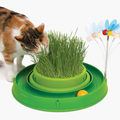 Catit Play Green Circuit Ball Toy With Grass