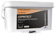Cepritect 250mg Intramammary Suspension for Dry Cows