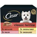Cesar Classics Wet Dog Food Terrine Mixed Selection