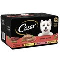 Cesar Classics Terrine Mixed Selection for Dogs