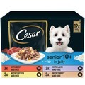 Cesar Senior 10+ Deliciously Fresh Dog Pouches Mixed Selection in Jelly