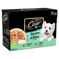 Cesar Senior 10+ Selection in Sauce Dog Food