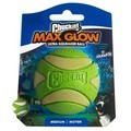Chuckit Max Glow Ultra Squeaker Medium Dog Ball