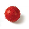Classic Pimple Rubber Ball Dog Toy