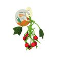 Classic Small Animal Berry Nibble Hanger Toy