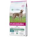 Eukanuba Adult Daily Care Sensitive Joints Dog Food