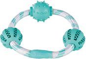 Denta Fun Mint Flavoured Rubber & Rope Ring with Balls