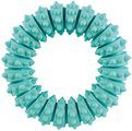 Denta Fun Ring Mint Flavour Natural Rubber Dog Toy