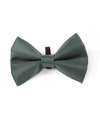 Digby & Fox Forest Green Bow Tie