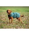 Digby & Fox Heritage Dog Coat Forest