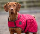 Digby & Fox Heritage Dog Coat Red