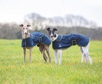 Digby & Fox Softshell Greyhound Coat Navy
