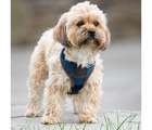 Digby & Fox Tweed Dog Harness Navy